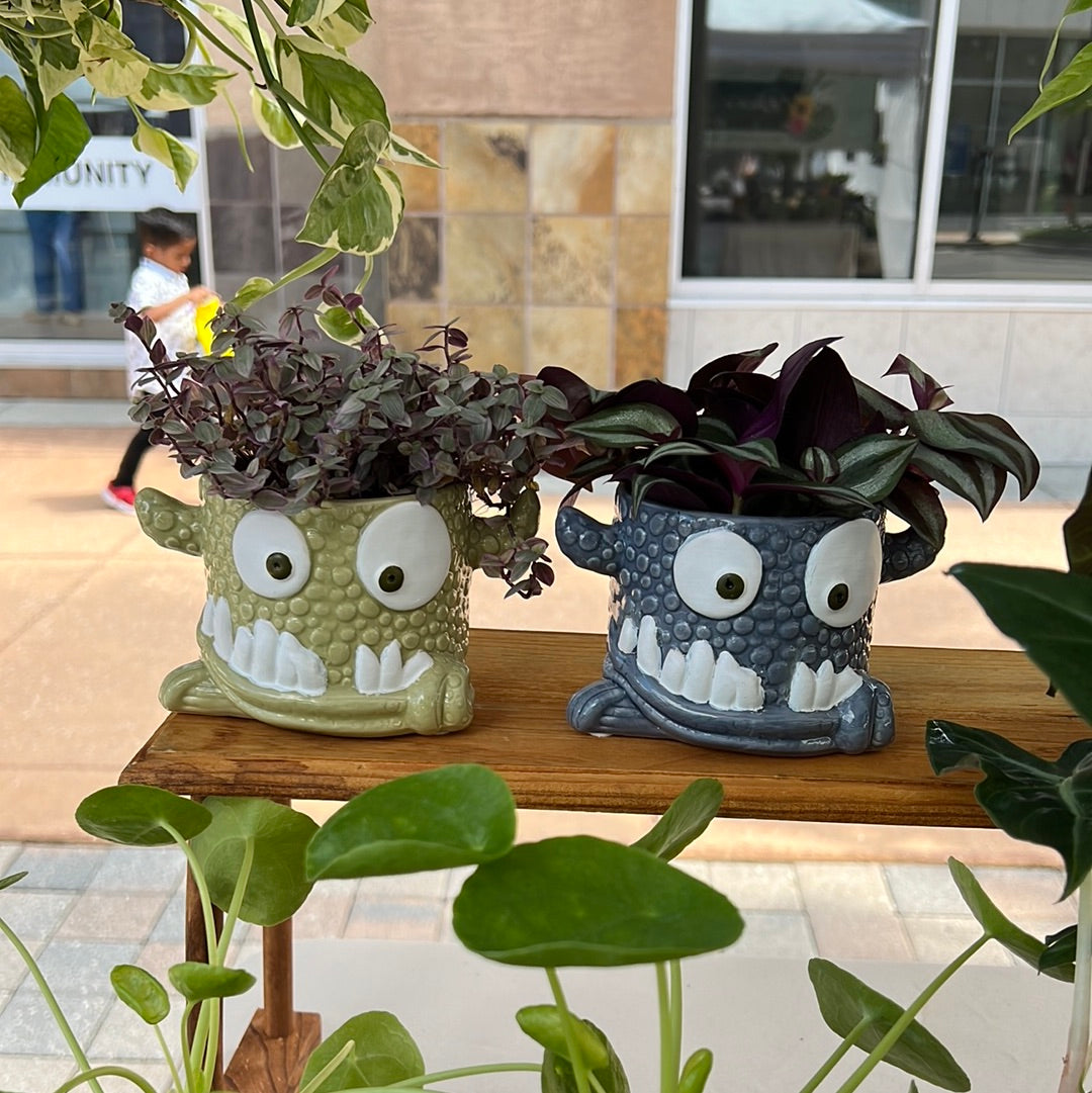 Monster Pot with Plant