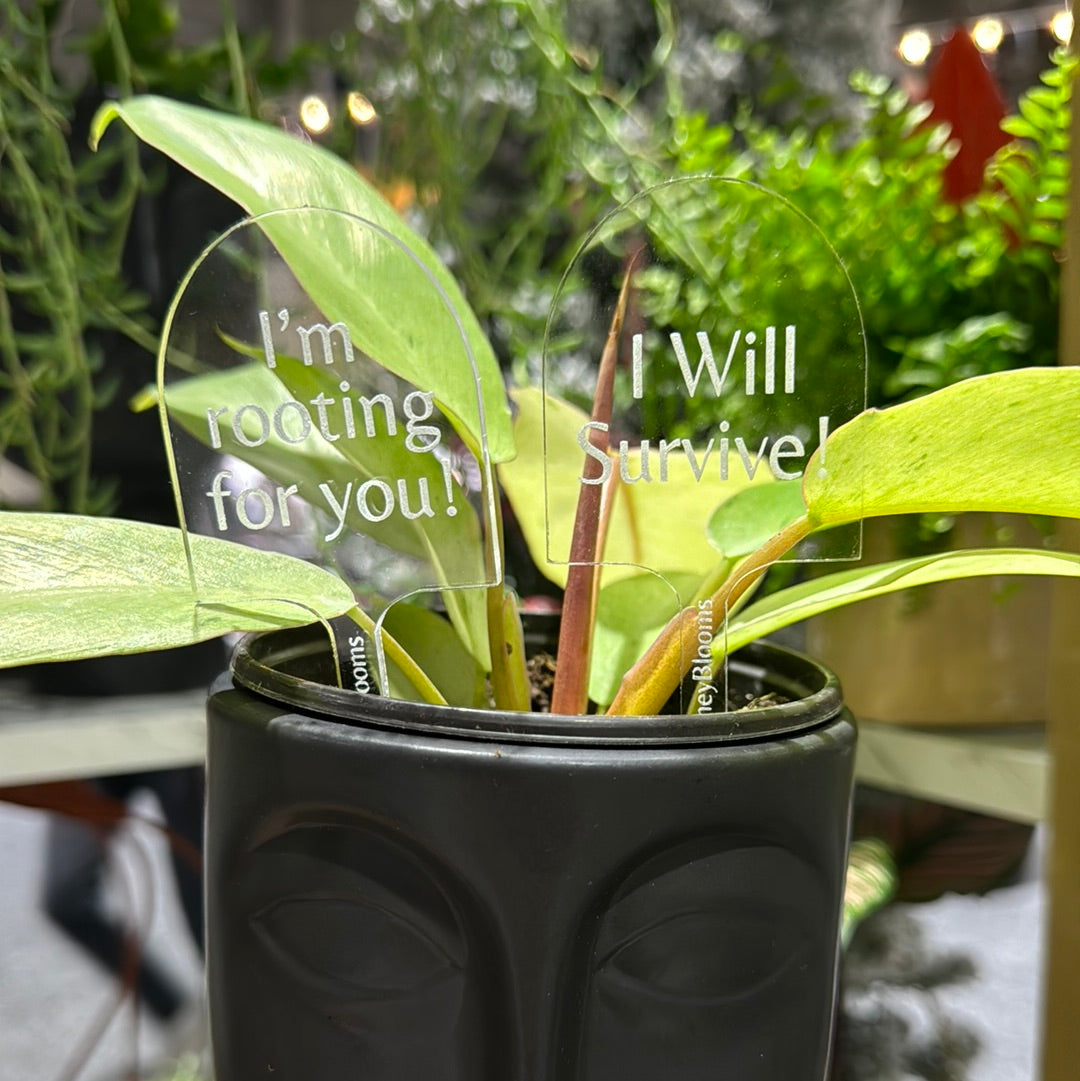 Inspirational Plant Stakes