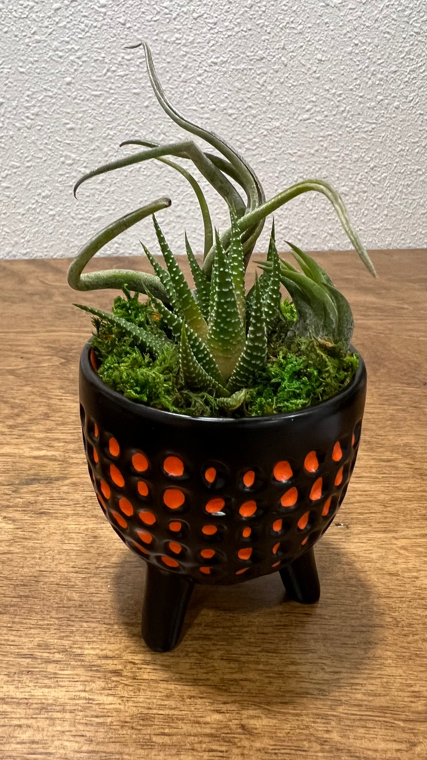 Cauldron with Plants - Holiday