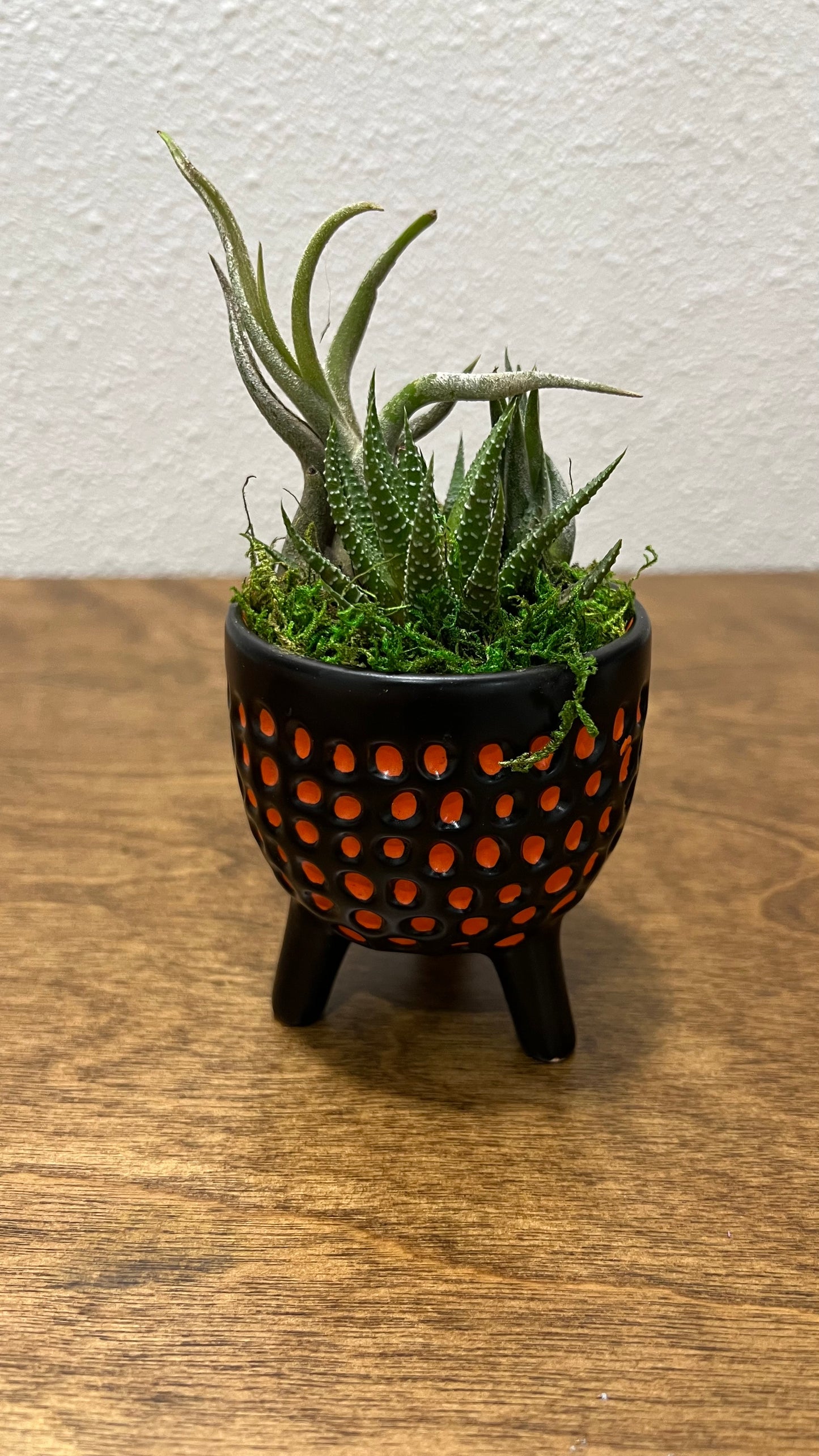 Cauldron with Plants - Holiday