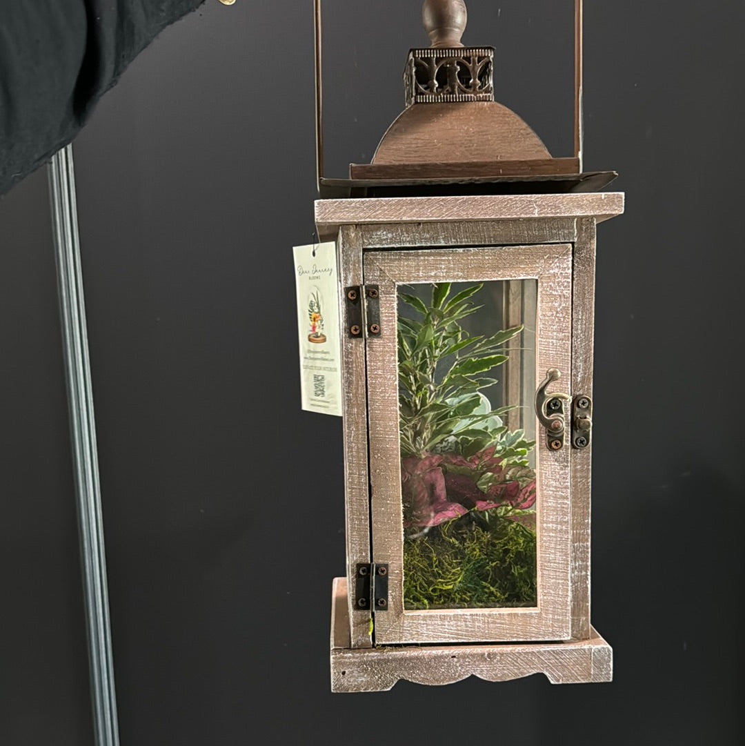 Lantern Glass Terrarium