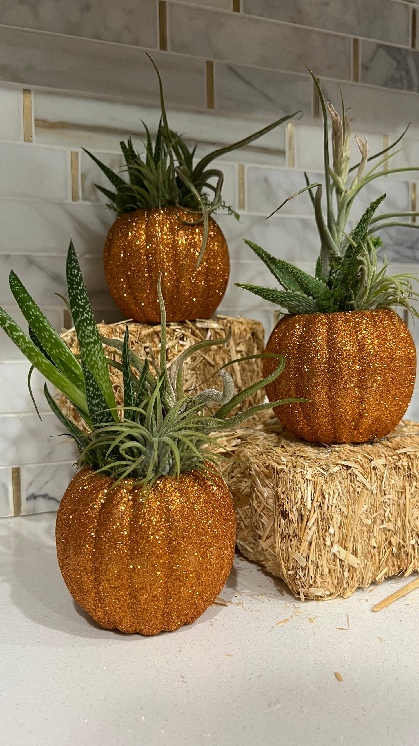 Pumpkin with Plant Arrangment - Holiday