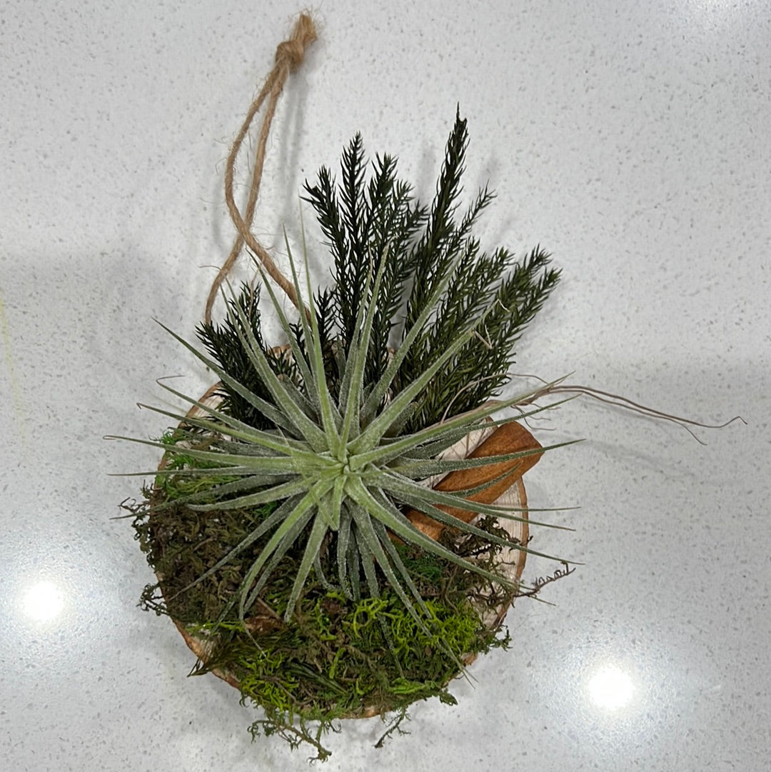 Holiday Christmas Airplant Ornament
